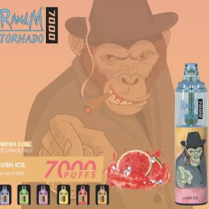 RANDMTORNADO7000 10Vape jetable Randm Tornado 7000 bouffées| Lush Ice